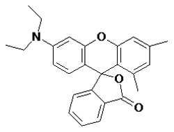 JYDO-1